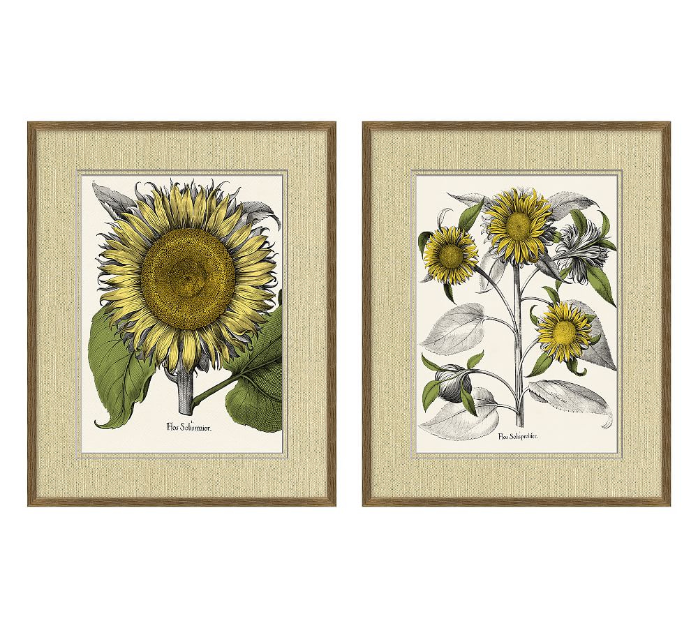 Tinted Sunflower Paper Print