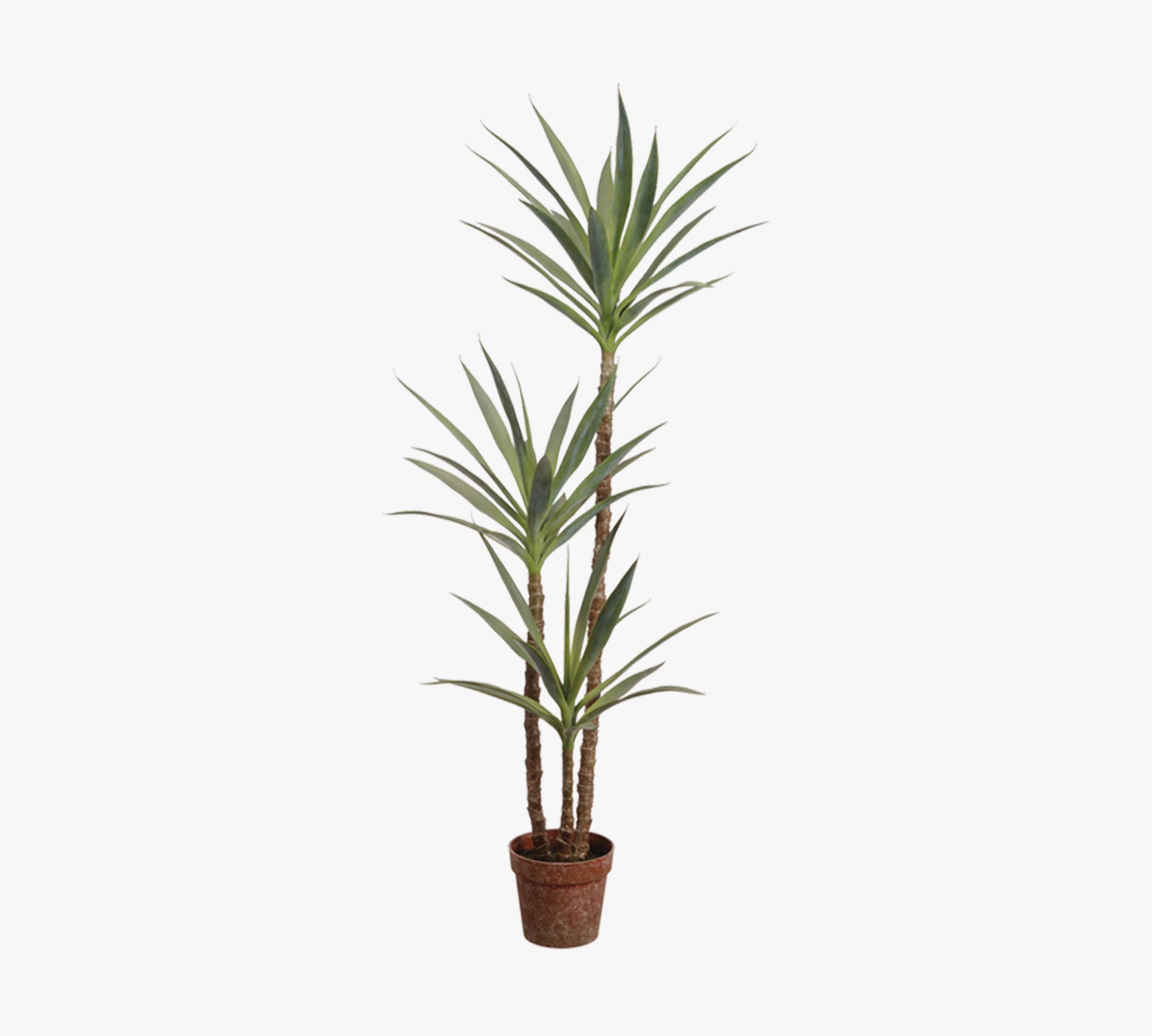 Faux Yucca Tree In Pot