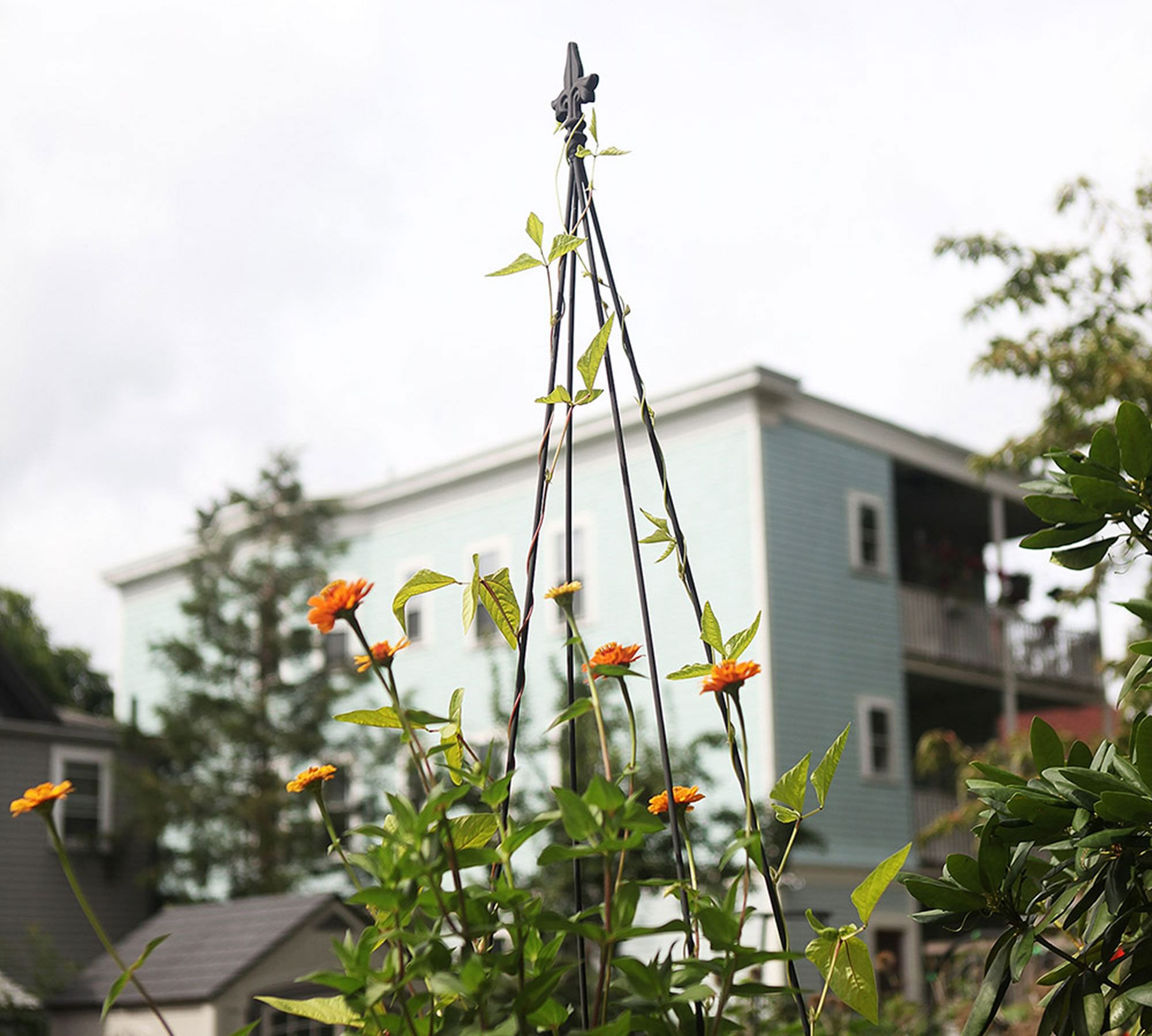 Harriet Obelisk Trellis