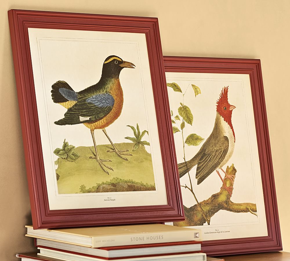 Framed Antique Bird Prints, Set of 2