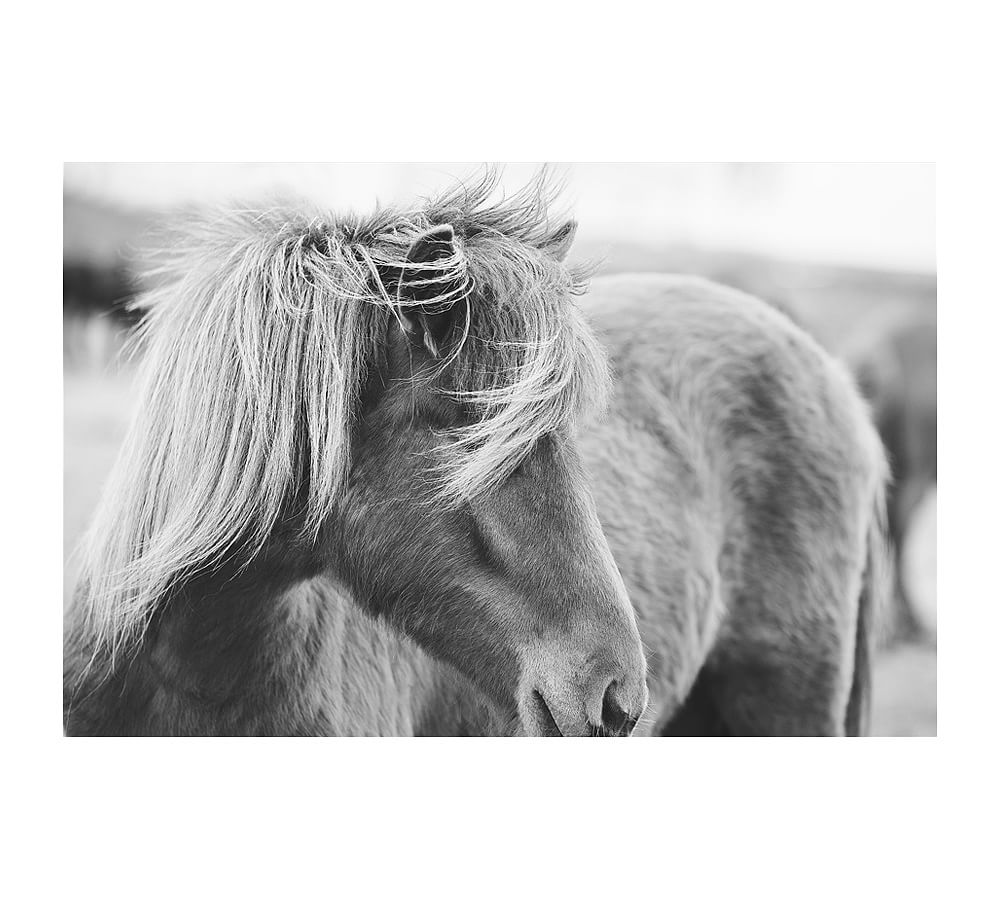Rustic Horse by Jennifer Meyers