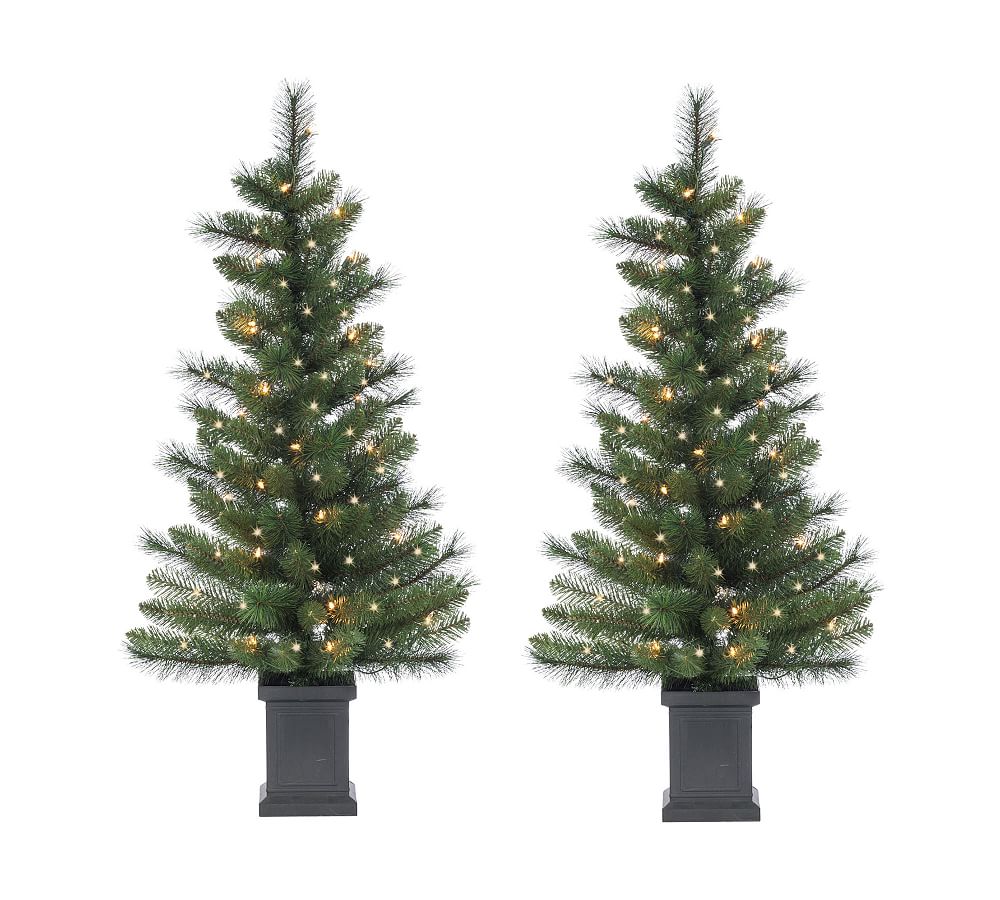Lit Faux Potted Sycamore Spruce Trees - Set of 2