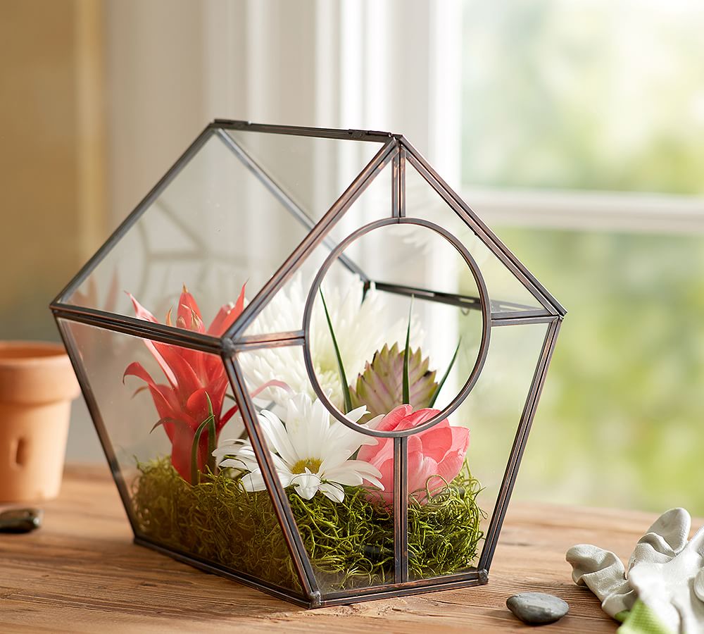 Bronze Rimmed Terrarium Pottery Barn