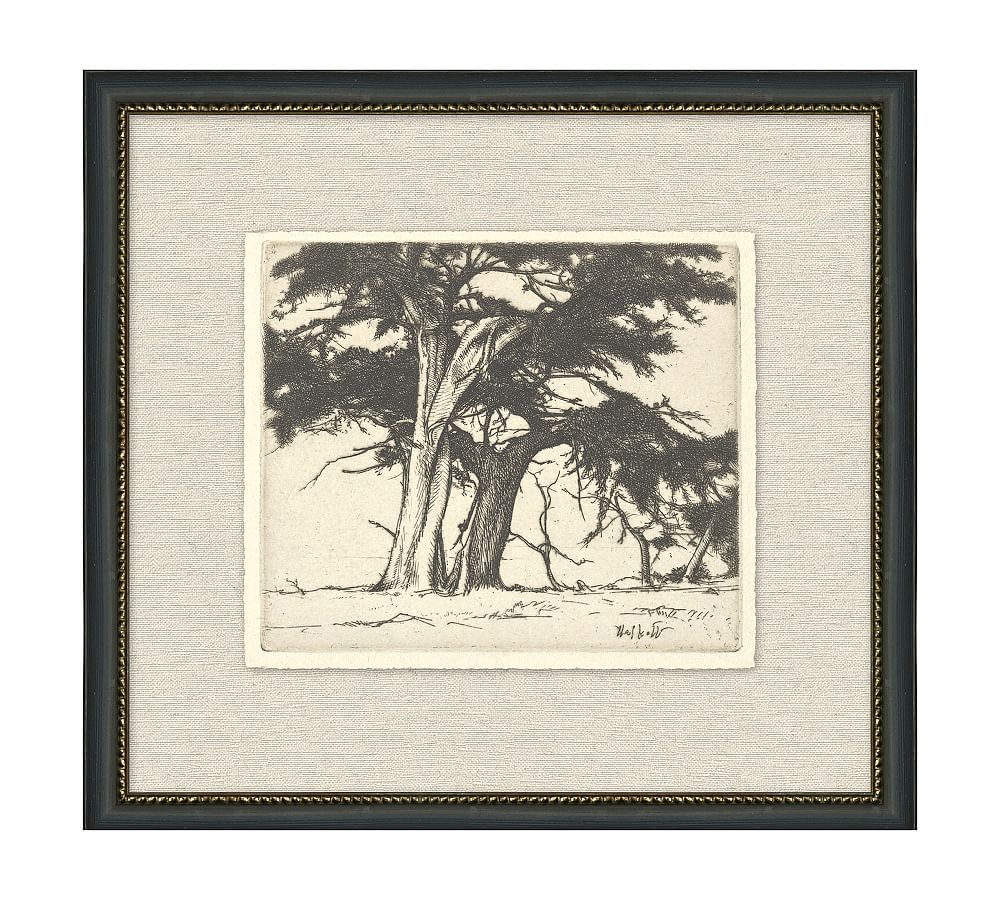 Tree Etching Framed Print