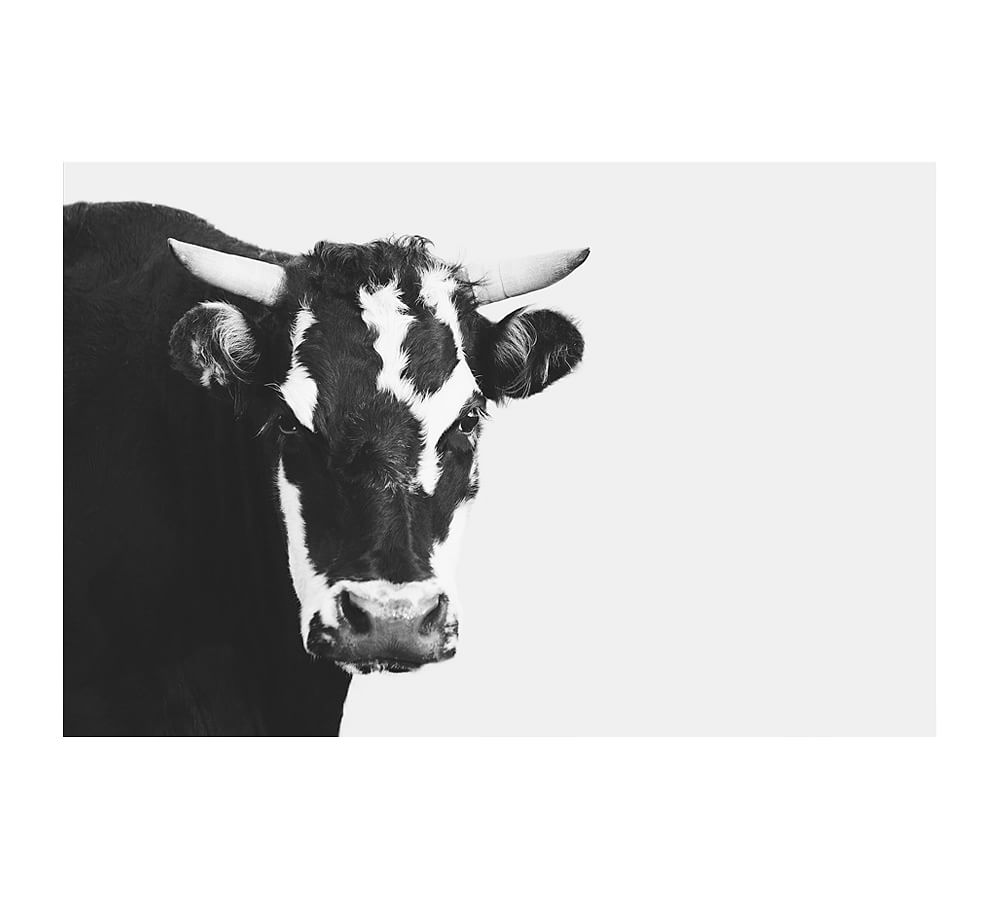 Modern Cow in Black and White by Jennifer Meyers