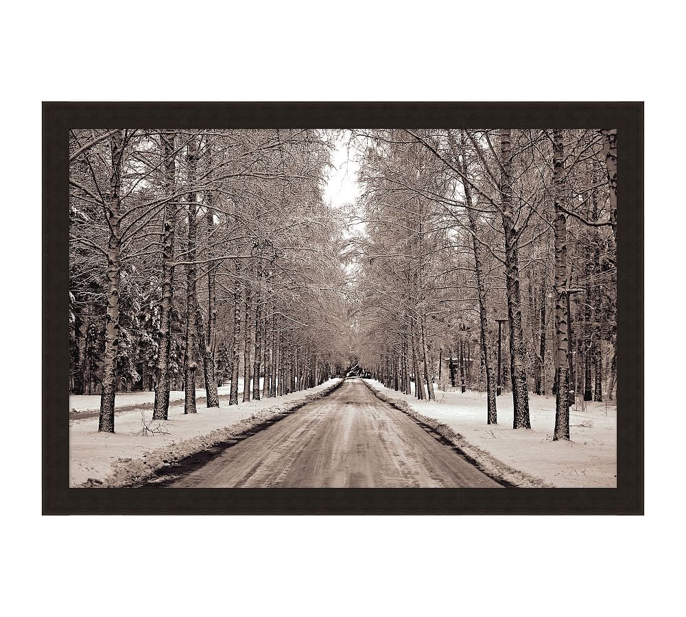Road in Winter Framed Print