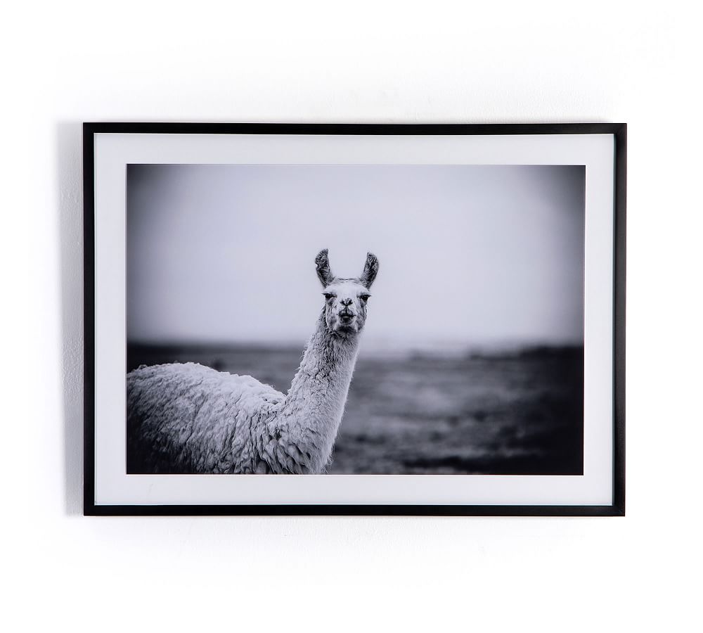 Llama Mug Framed Prints