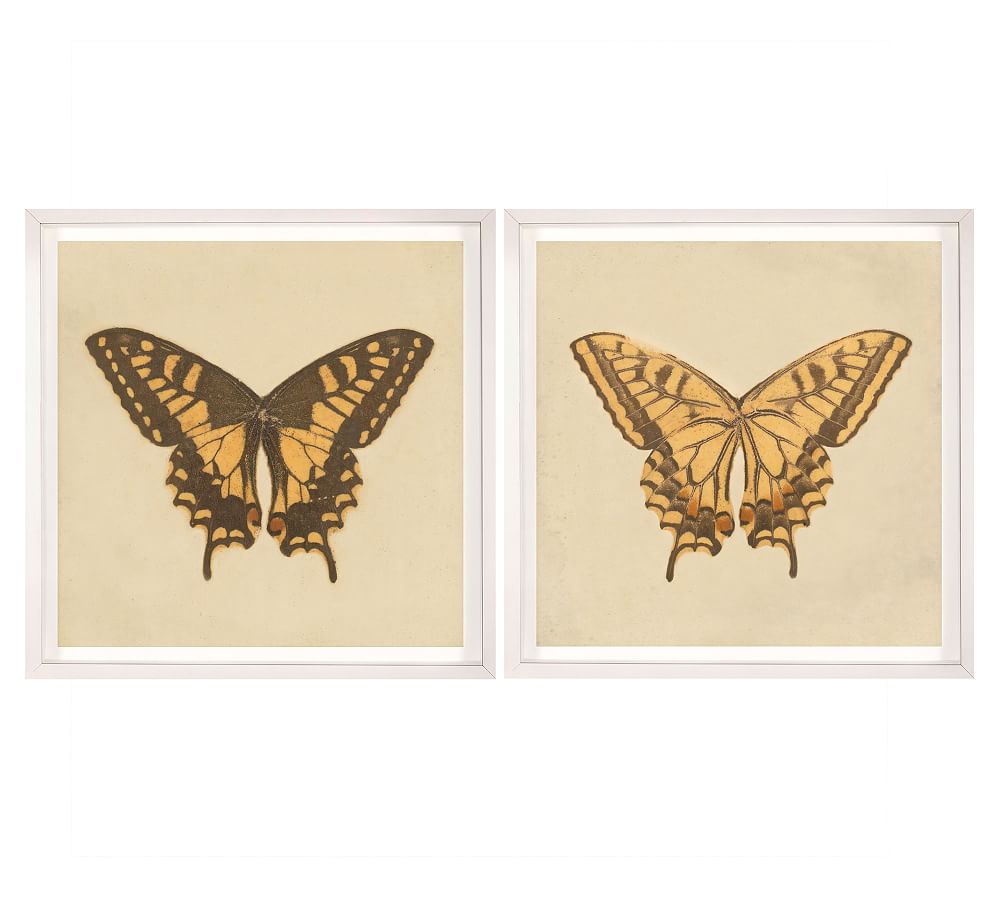 Chantal Butterflies Framed Prints