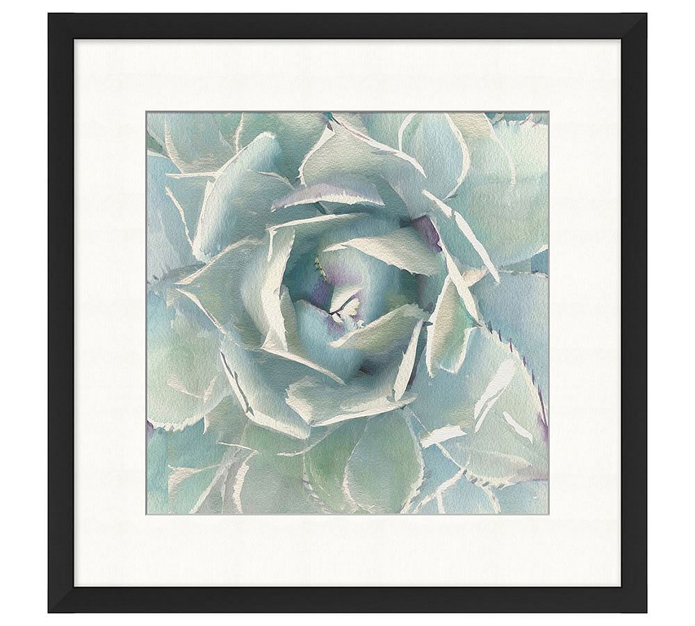 Succulent Watercolor Framed Print