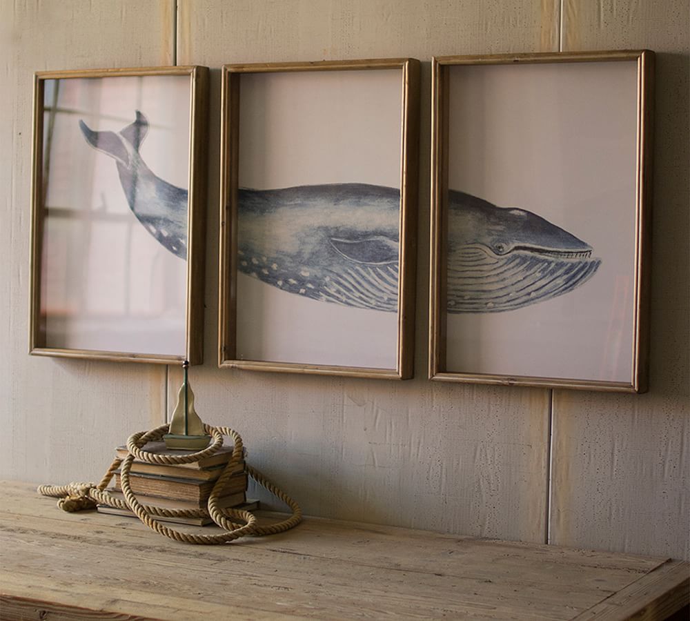 Pottery barn shop whale sheets