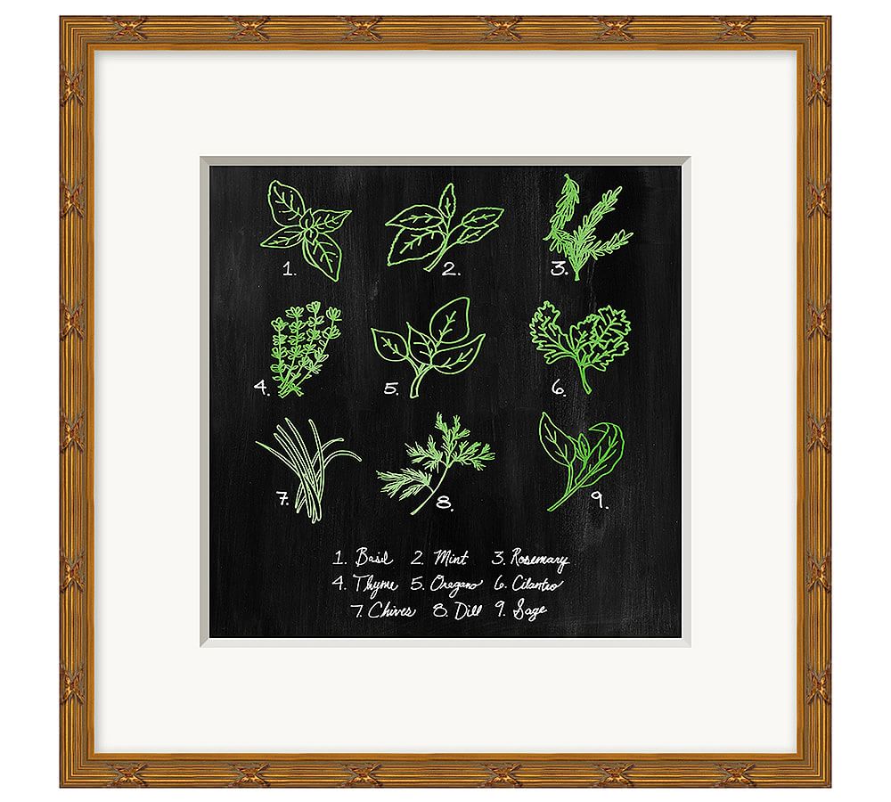 Essential Herbs Framed Print