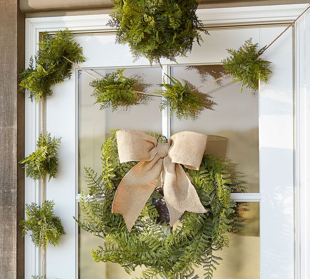 Outdoor Moss and Fern Collection