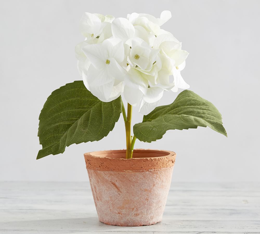 Faux Potted Hydrangea - White