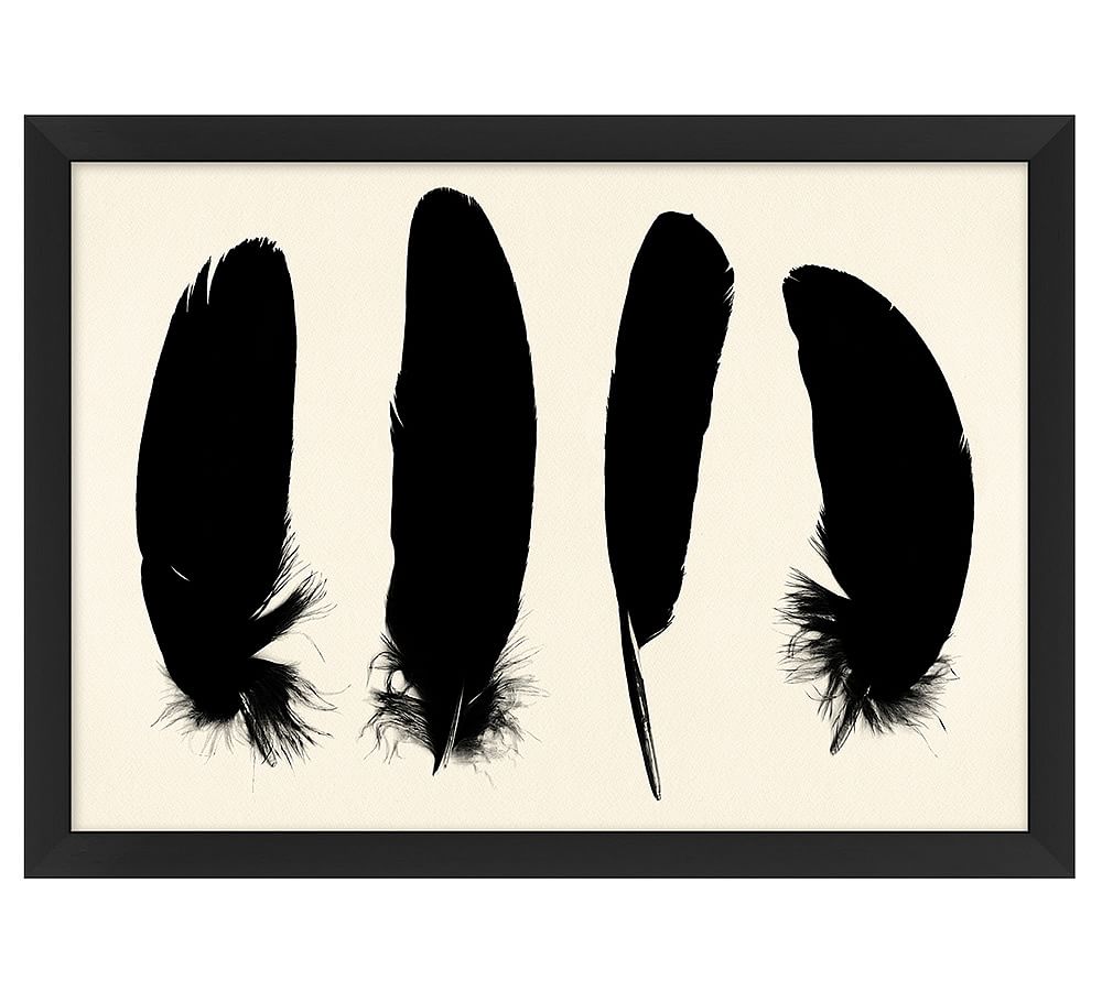 Feather Silhouette Framed Print