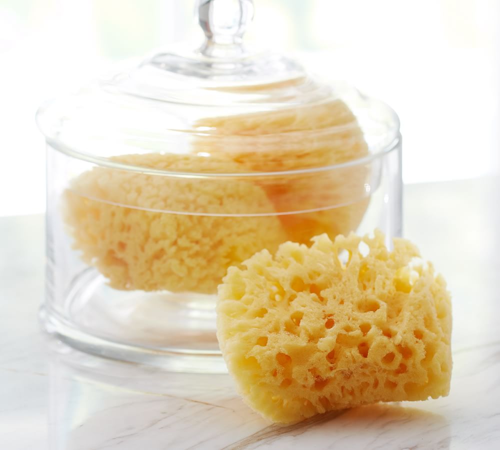 Natural Biodegradable Sea Sponges, Set of 3