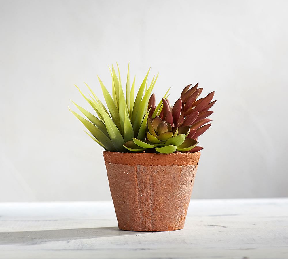Faux Small Mixed Potted Succulent - Red