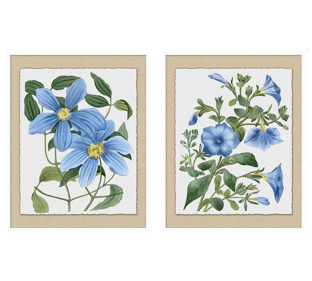 Flowering Blue Framed Prints