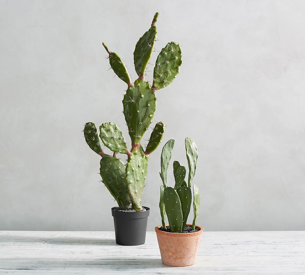Faux Potted Opuntia Cactus
