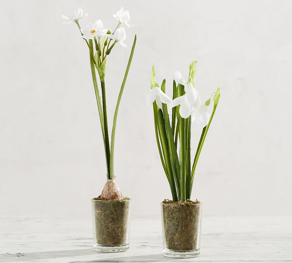 Faux Potted Paperwhites in Glass Vase