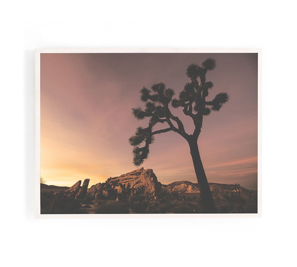 Purple Sky Joshua Tree Framed Print