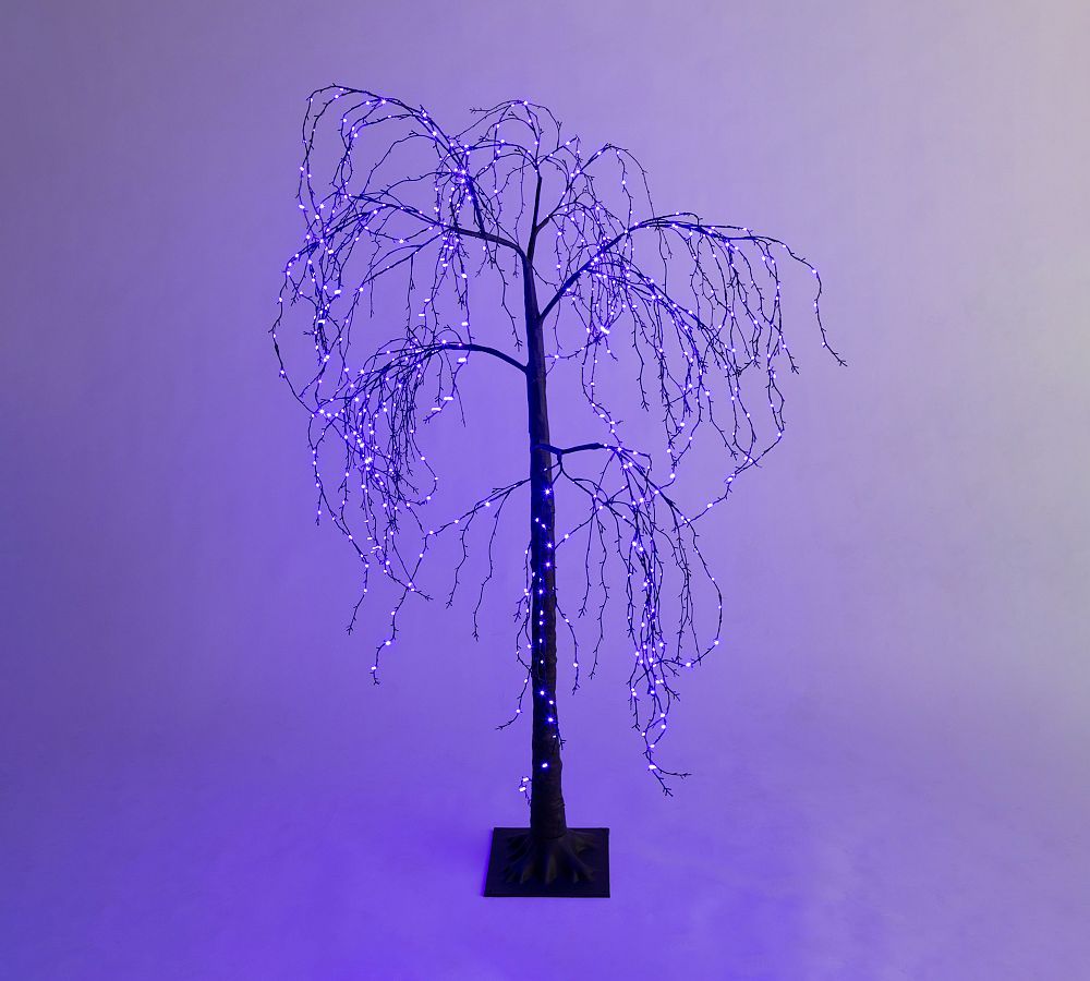 Lit Weeping Willow Tree