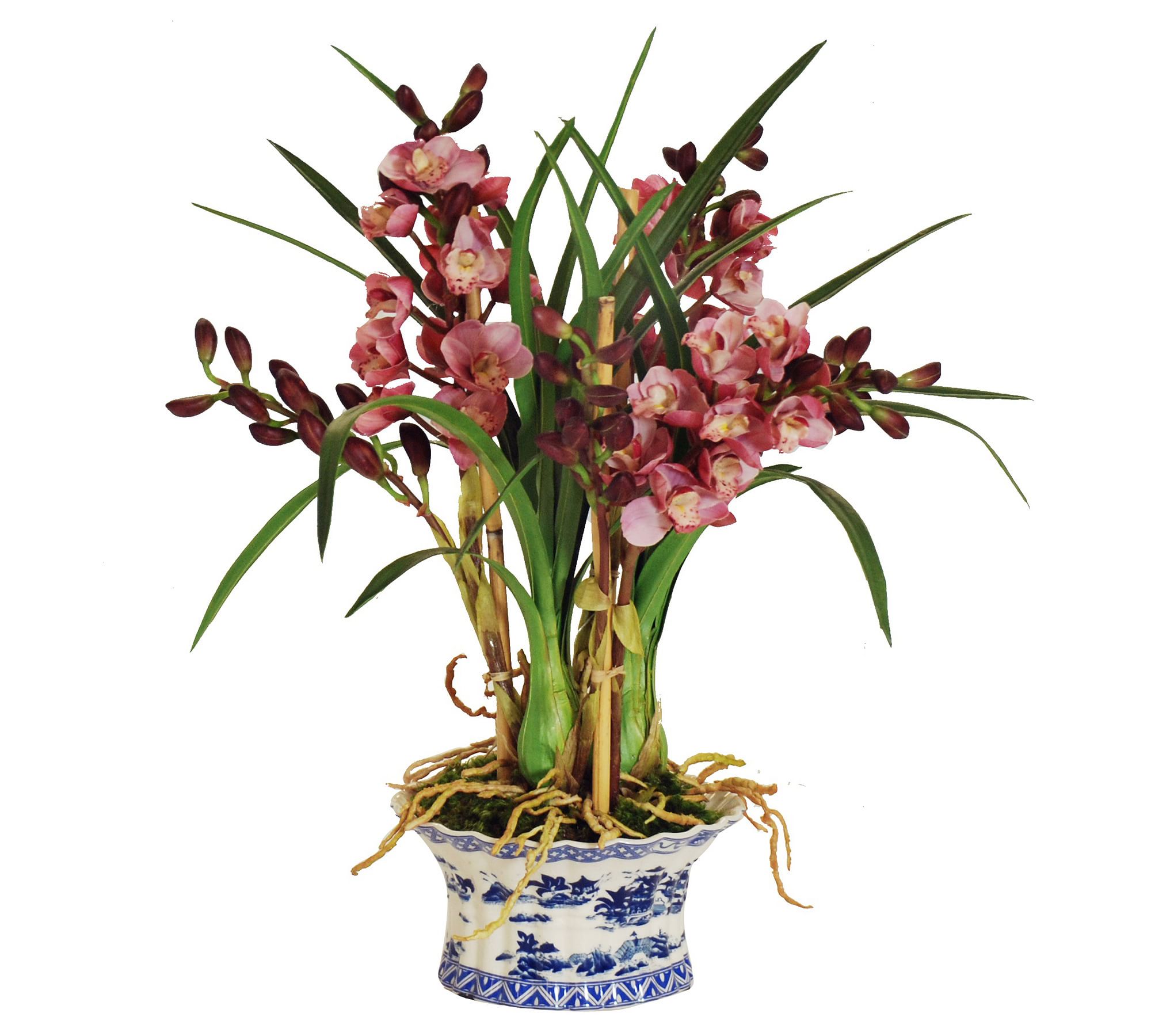 Faux Orchid in Oval Planter