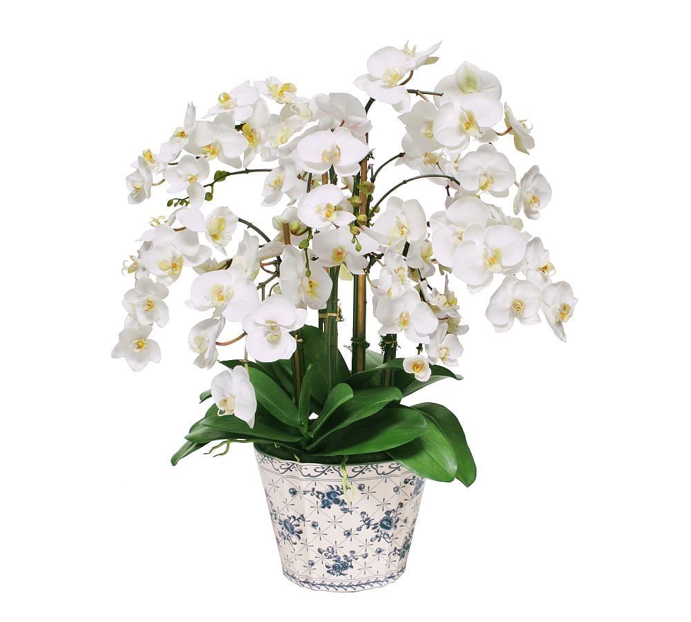 Faux Orchid In Oval Printed Vase
