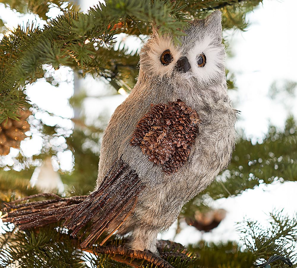 Winter Woods Owl