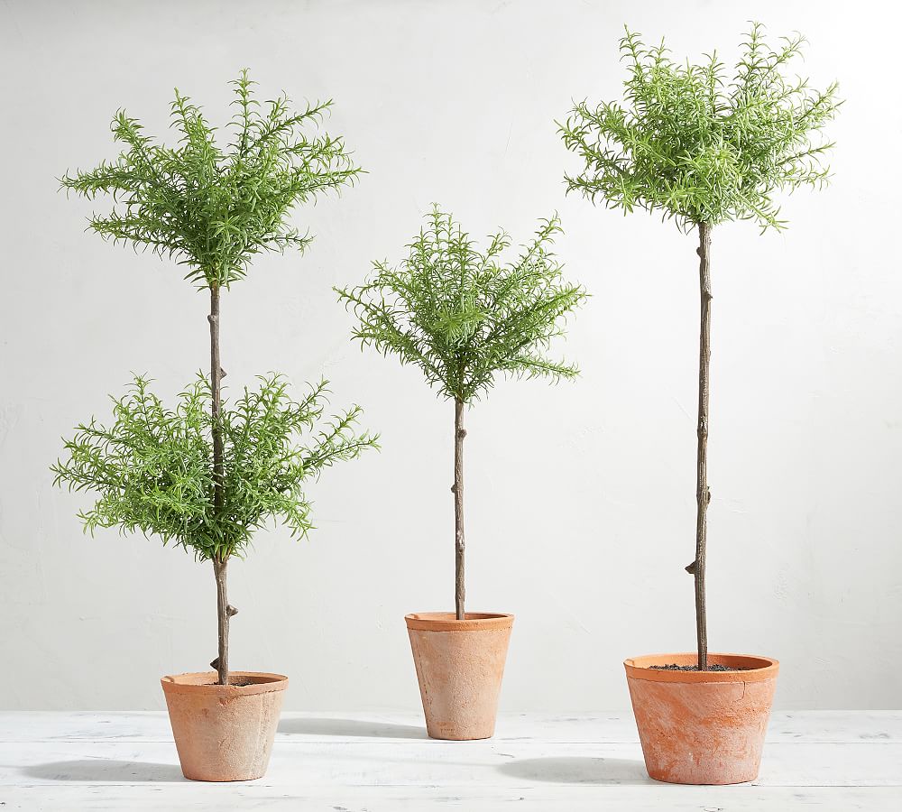 Faux Topiary Balls Pottery Barn