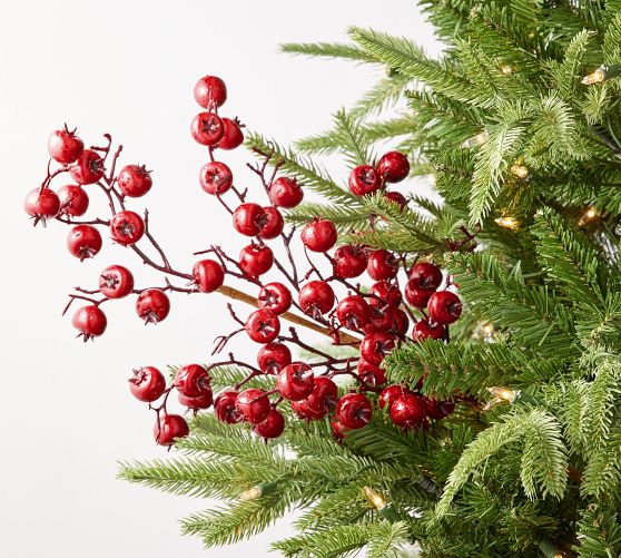 Red Berry Tree Pick | Pottery Barn