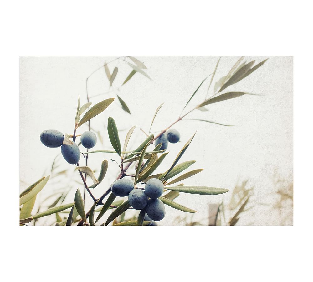 Olive Branches by Lupen Grainne