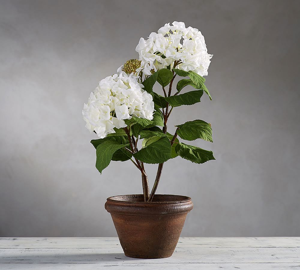 Faux Potted Hydrangea