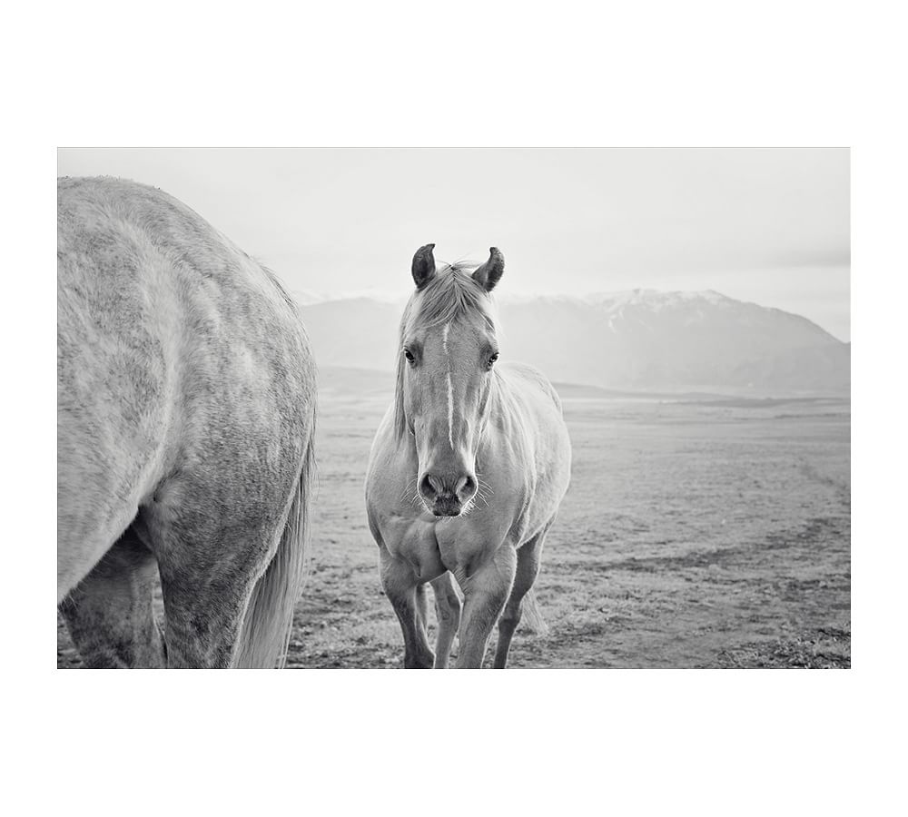 Cute Western Horse by Jennifer Meyers