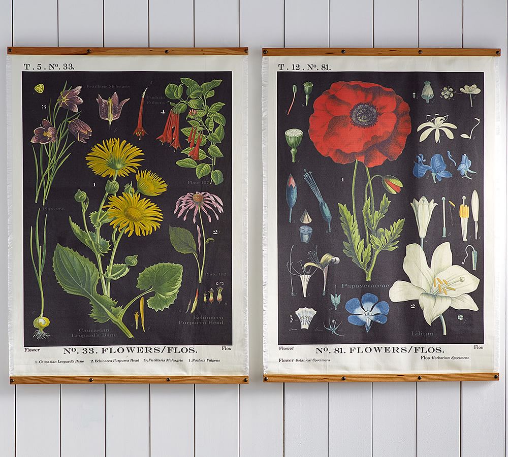 Botanical Printed Canvas