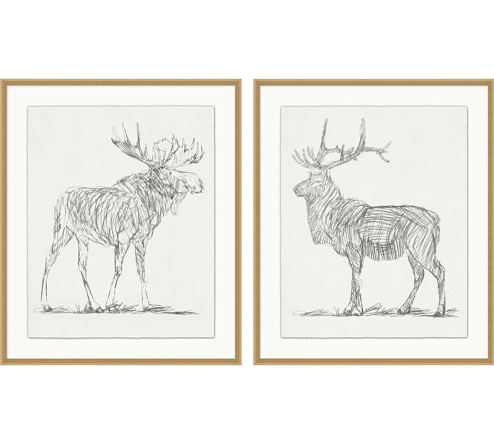 Moose &amp; Elk Gesture Framed Print