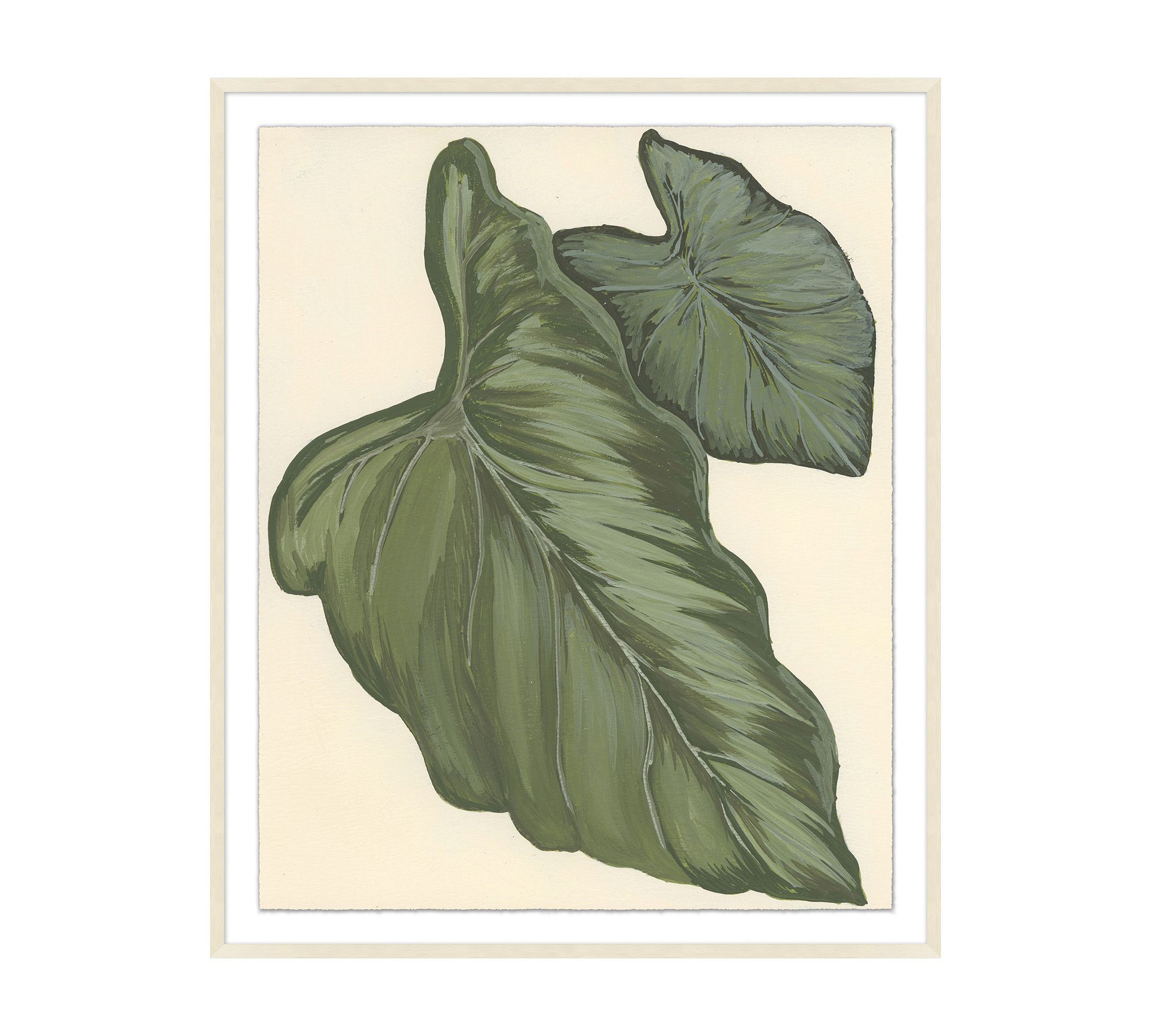 Philodendron Leaf Framed Print