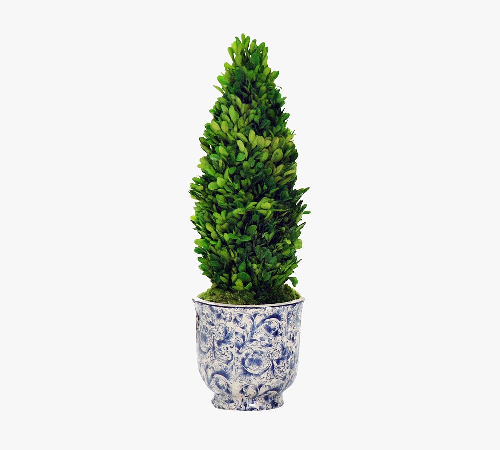 Faux Boxwood Cone Topiary In Ceramic Pot