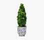 Faux Boxwood Cone Topiary In Ceramic Pot
