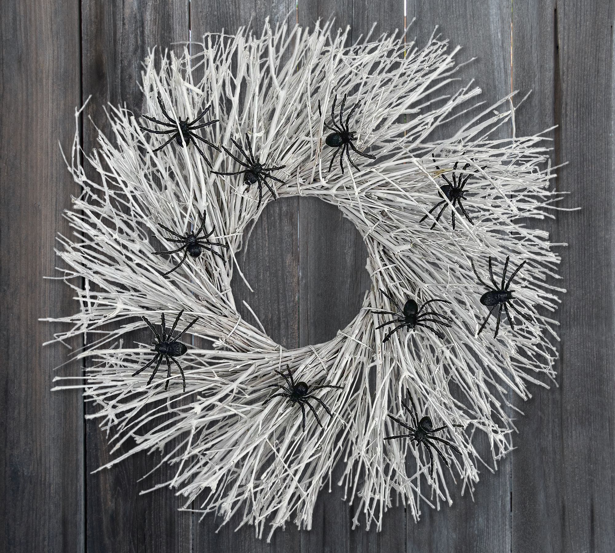 Dried Spinning Spiderweb Wreath