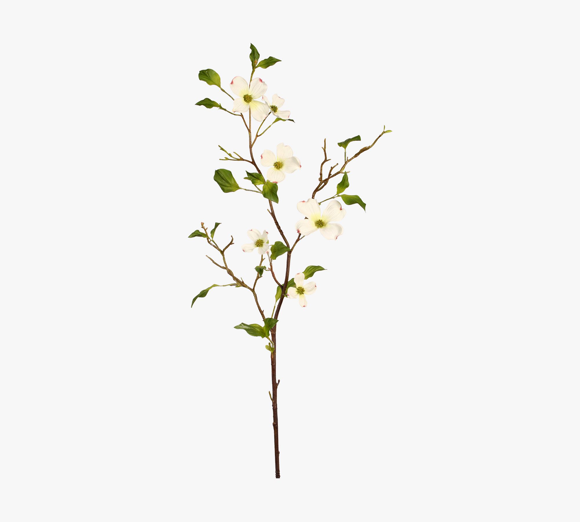 Faux Dogwood Branches - Set of 12