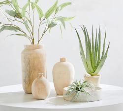 Faux Speckled Aloe Vera Plant In Terracotta Pot | Pottery Barn