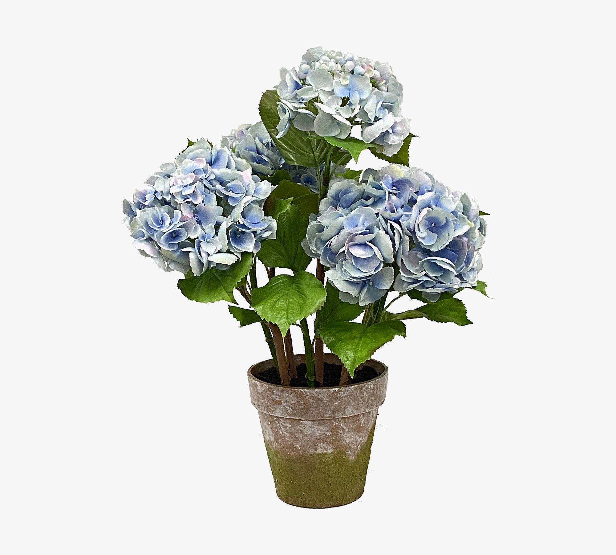 Faux Potted Hydrangea