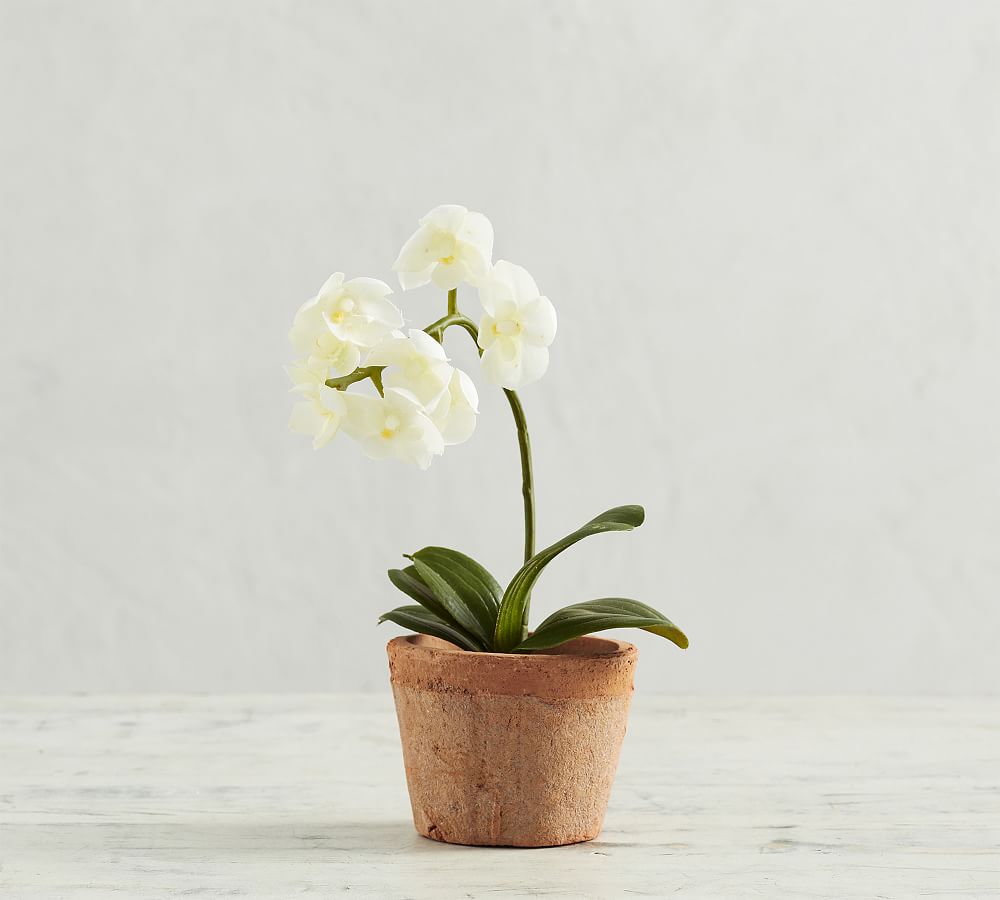 Mini Faux Orchid