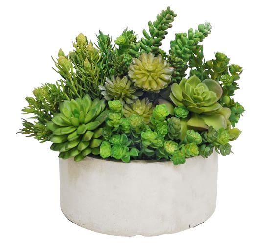 Artificial Succulents, Faux Succulents | Succulent Decor | Pottery Barn