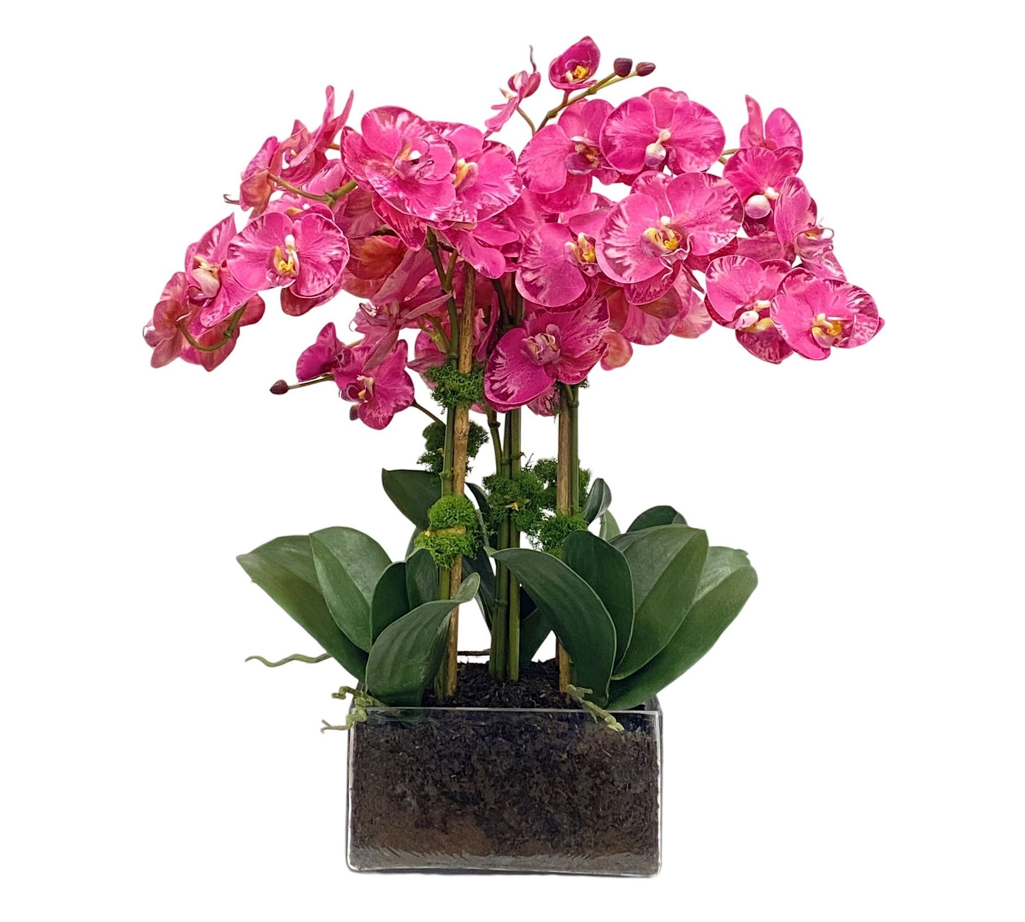 Faux Orchid Phalaenopsis Arrangement Square Vase