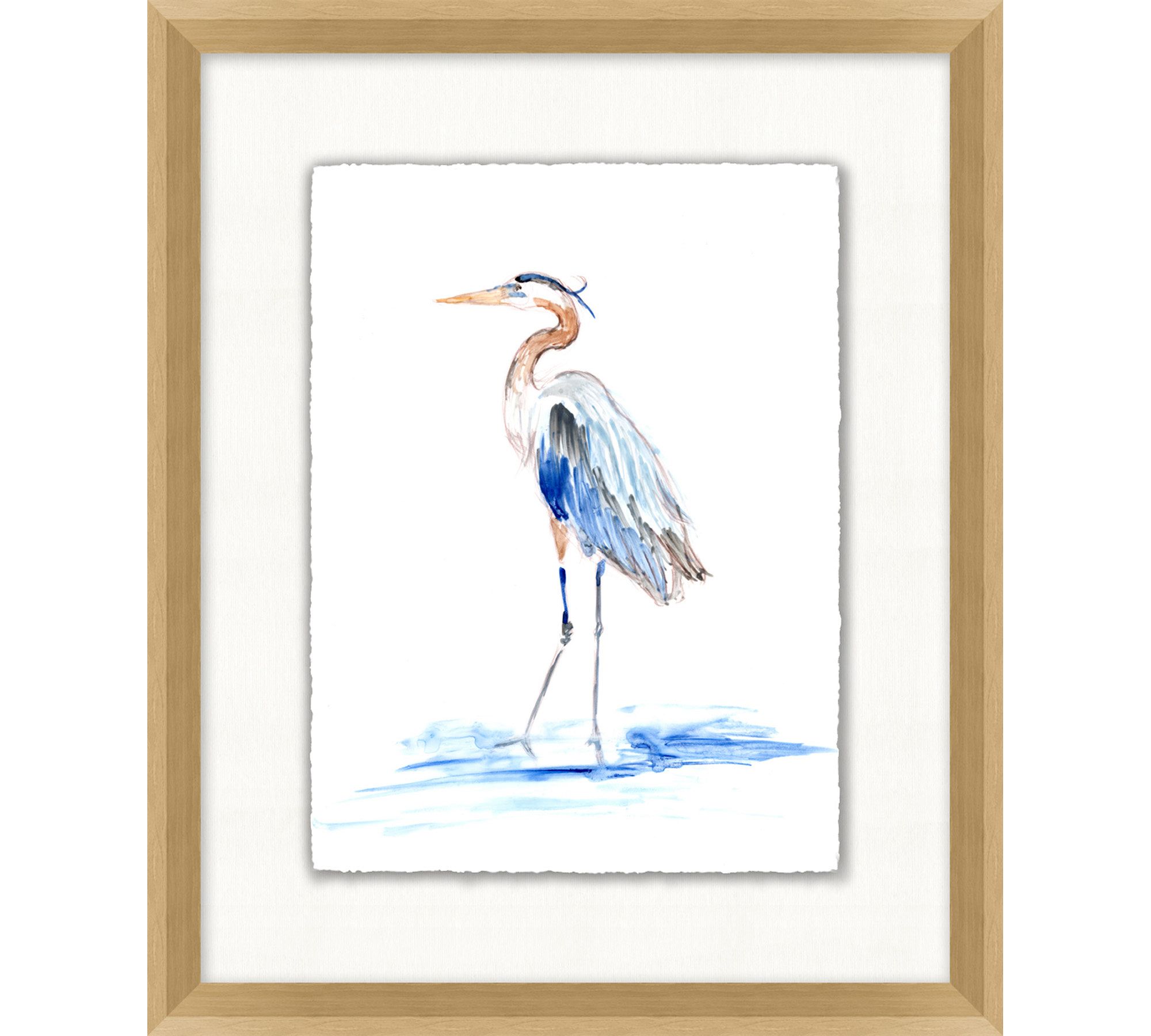 Watercolor Heron Framed Print