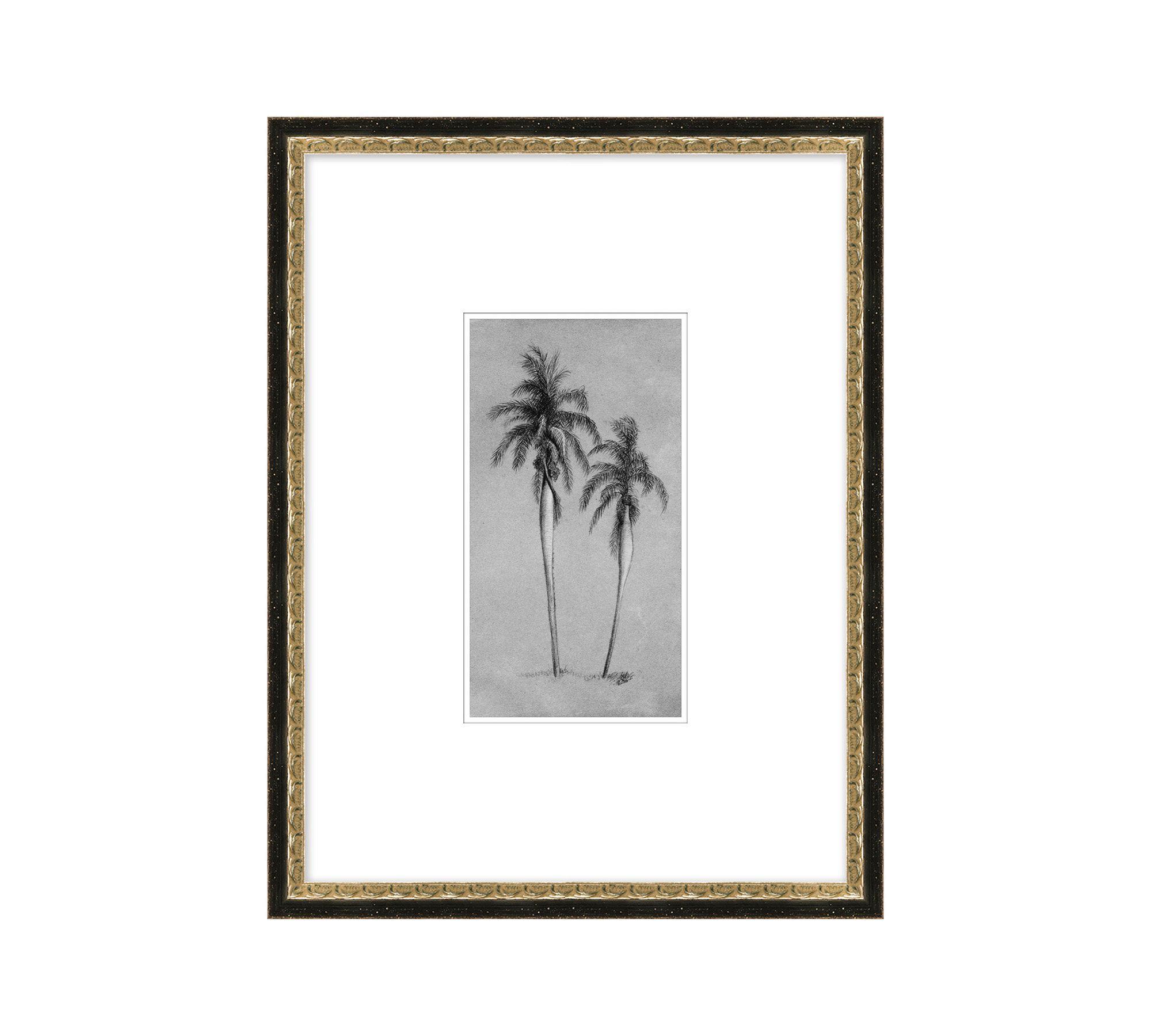 Pencil Sketch Palms Framed Print
