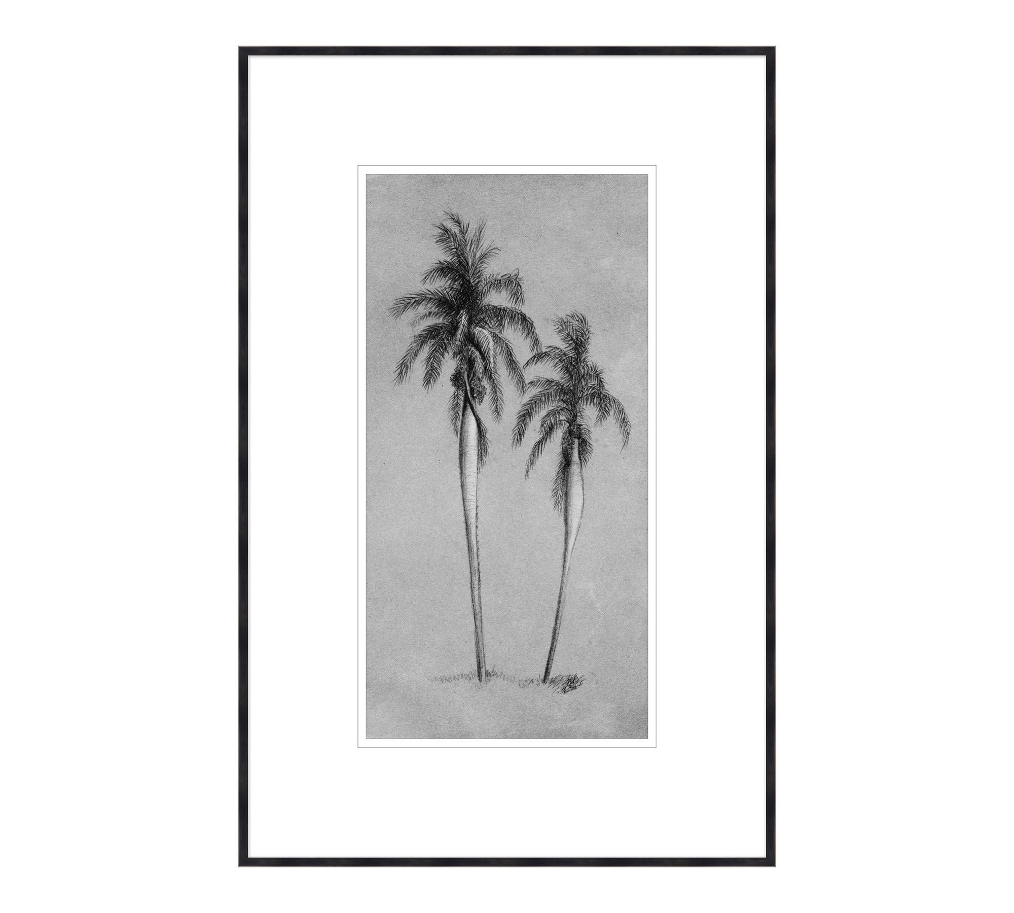 Pencil Sketch Palms Framed Print
