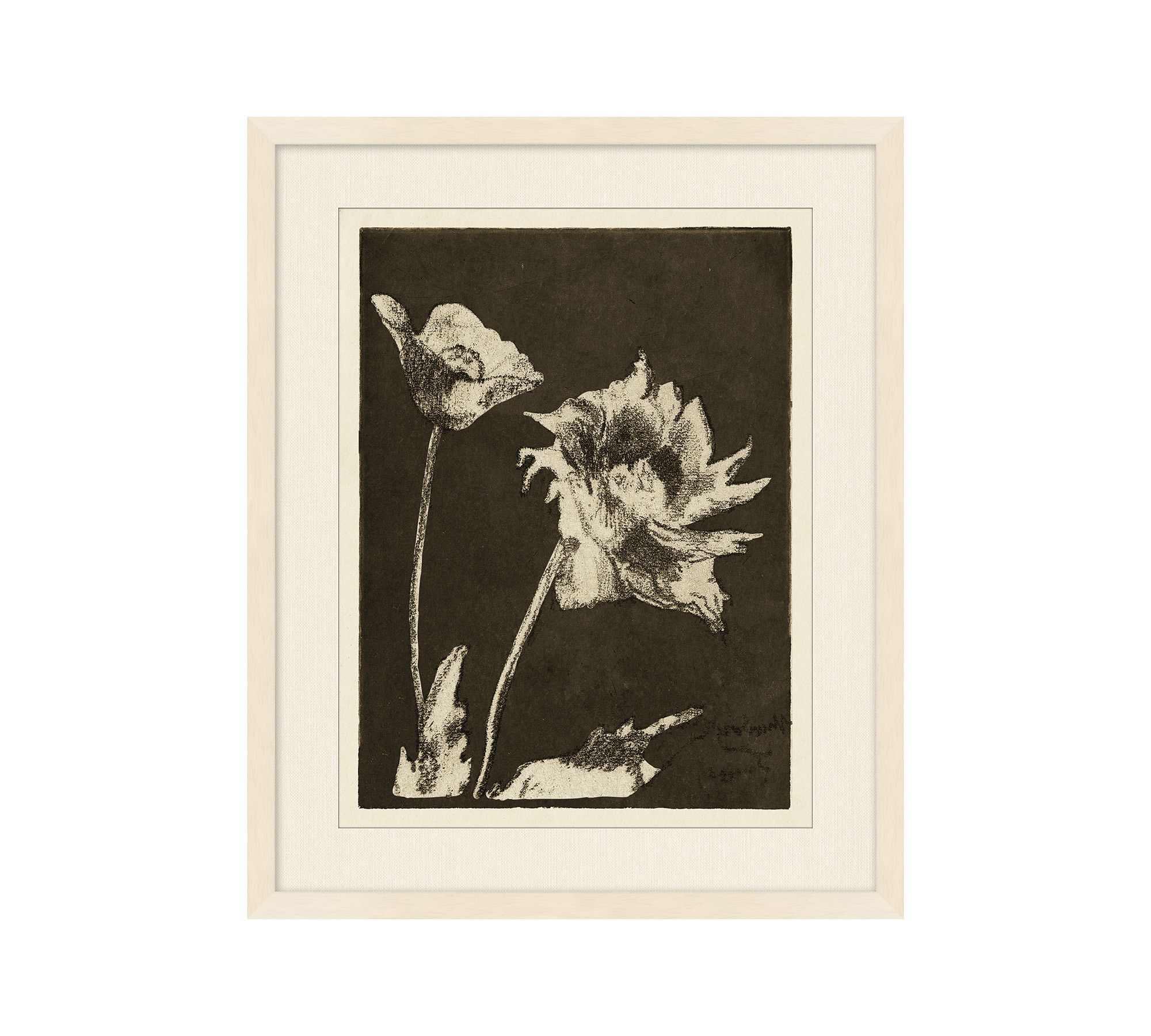 Textured Flora Framed Print