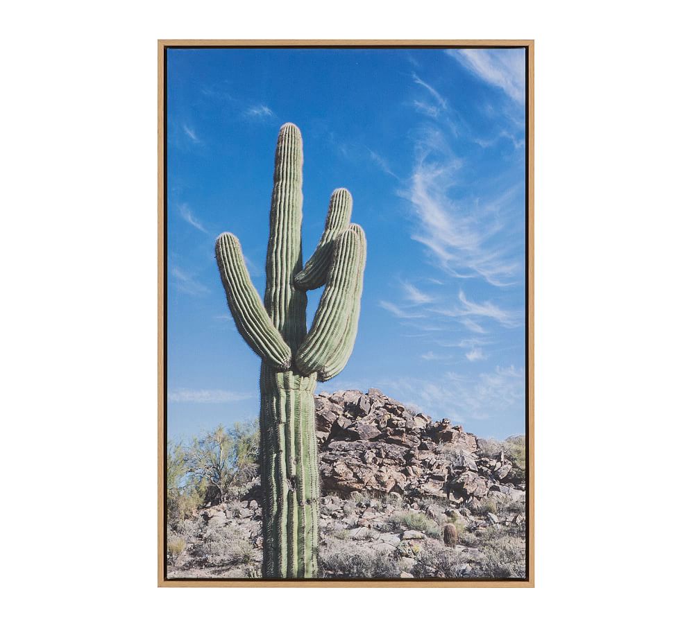 Cactus Framed Canvas